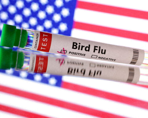 US reports first outbreak of H5N9 bird flu in poultry