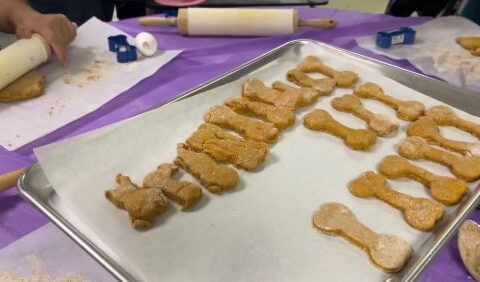 Baking for a Cause: How Buttermilk Mountain enriches lives and builds community through dog biscuits
