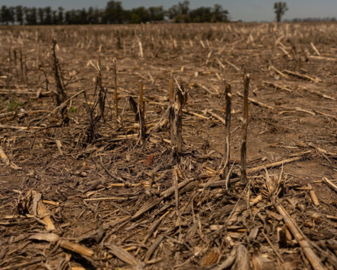 Climate change is disrupting food systems across Latin America, UN report says