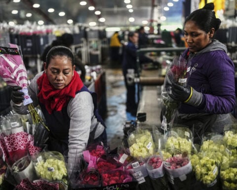 Just in time for Valentine's Day, trade dispute with Colombia threatens flower imports