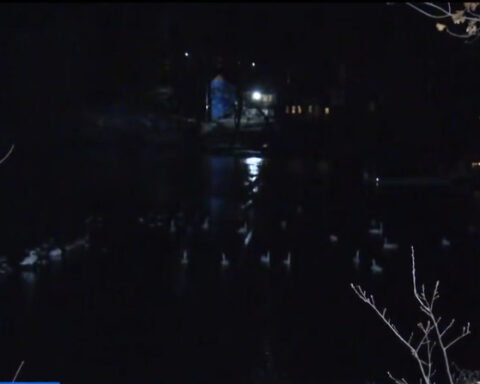 Plymouth residents concerned about bird flu. Who is responsible for cleanup?