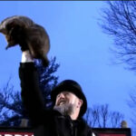 Punxsutawney Phil celebrating first Groundhog Day as a father