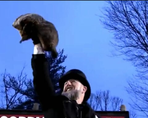 Punxsutawney Phil celebrating first Groundhog Day as a father