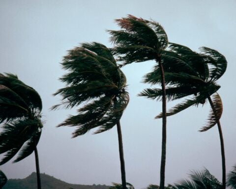 Potentially 'life-threatening' winds set to batter part of L.A. County