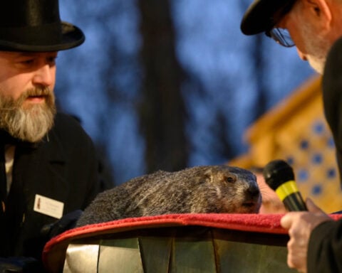 What did the groundhog see? Punxsutawney Phil’s winter predictions are in