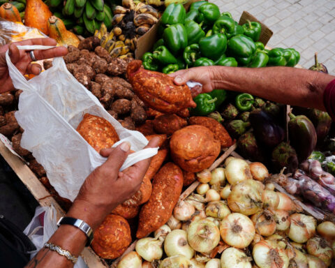 World food commodity prices fall in January as sugar, vegetable oils decline – FAO
