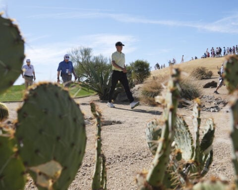 Thomas Detry shoots 65 to take 5-shot lead into the final round of the Phoenix Open