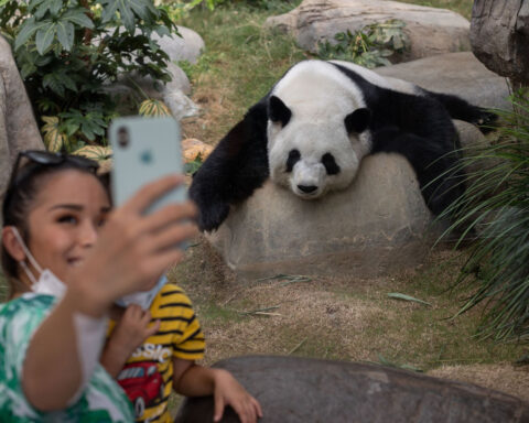 Cute baby animals bring visitors to zoos and aquariums. What happens when they grow up?