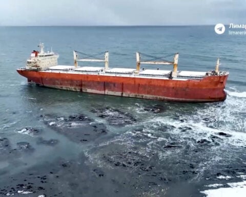 Governor puts parts of Russia's Sakhalin on high alert after cargo ship runs aground