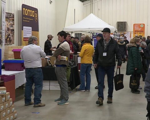 Midwest Honeybee Expo brings beekeepers together