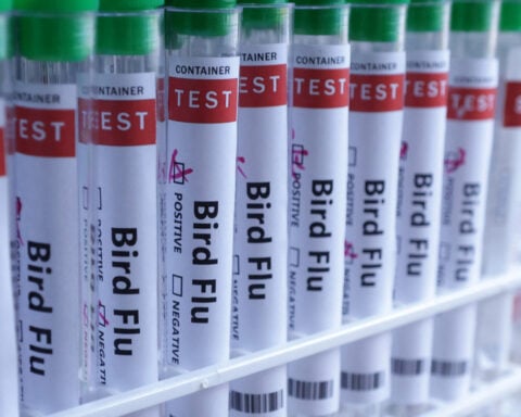 Bosnia reports H5N1 bird flu on poultry farm, WOAH says