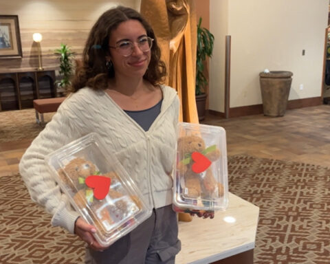 Inspired high school student donates 40 Valentine's Day gift boxes to local hospital