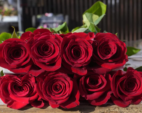 French group issues Valentine's Day warning that cut flowers have a variety of pesticides