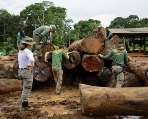 Brazil targets illegal logging in major Amazon raids