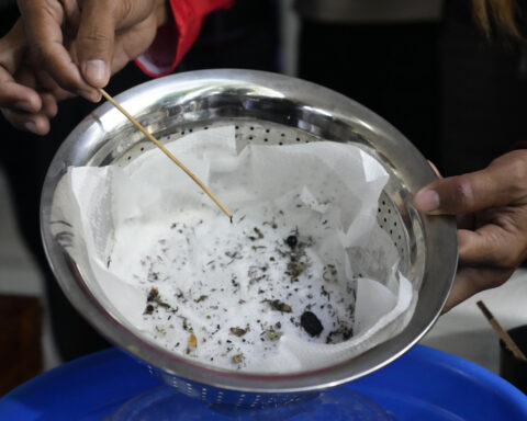 Philippine village battles dengue by offering bounties for mosquitos — dead or alive