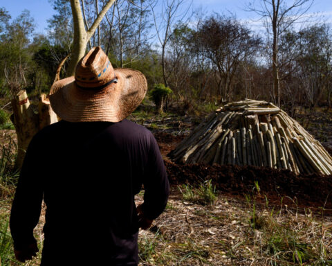 Cubans turn to cooking with charcoal as energy crisis worsens