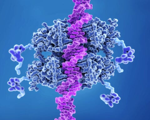p53 is both your genome’s guardian and weakness against cancer – scientists are trying to repair or replace it when it goes awry