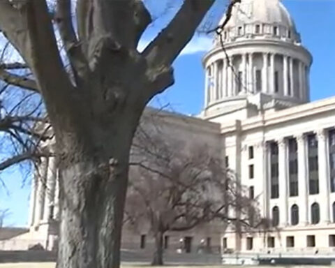 Oklahoma City’s Martin Luther King Jr. Tree of Life thrives despite years of hardship