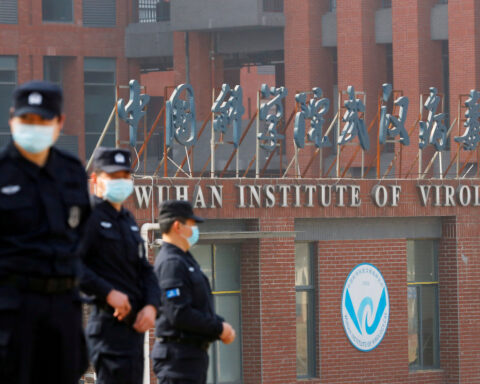 Chinese researchers find bat virus enters human cells via same pathway as COVID