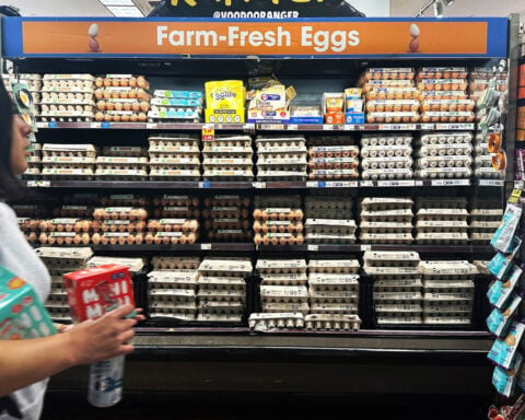 To help solve its egg price crisis, America is turning to Turkey (the country)