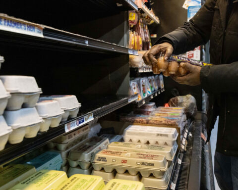 Could bird flu vaccines help tackle high egg prices? Experts say it’s not so simple