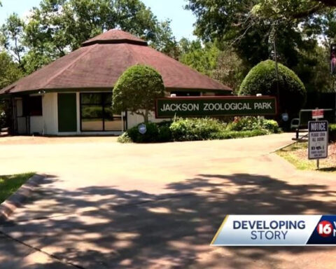 Parrots found dead in attic at Jackson Zoo
