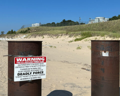 Holtec signs agreement with Hyundai to build small nuclear reactors at Palisades plant, CNBC reports
