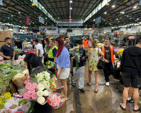 Australia January consumer prices dip in the month as housing inflation slows