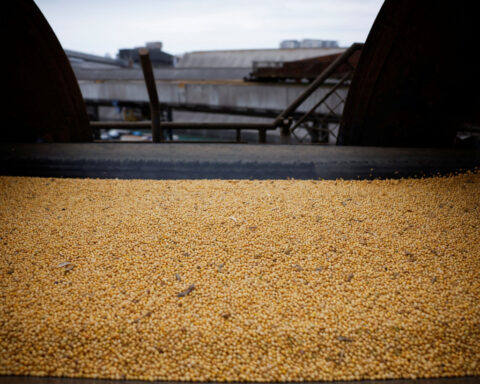 Brazil's Para state set to reverse tax on grain production