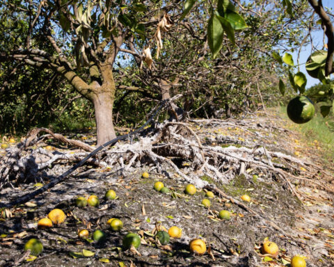 Tropicana is in big financial trouble