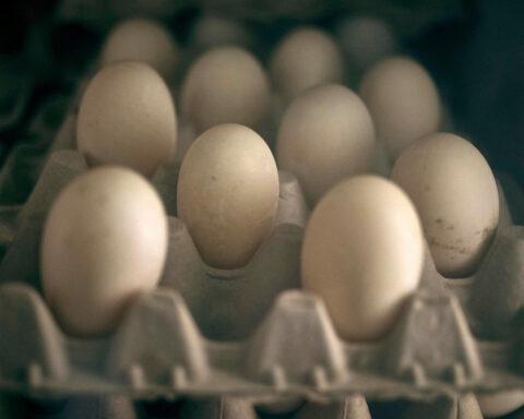 USDA details new plan to tackle bird flu and lower egg prices