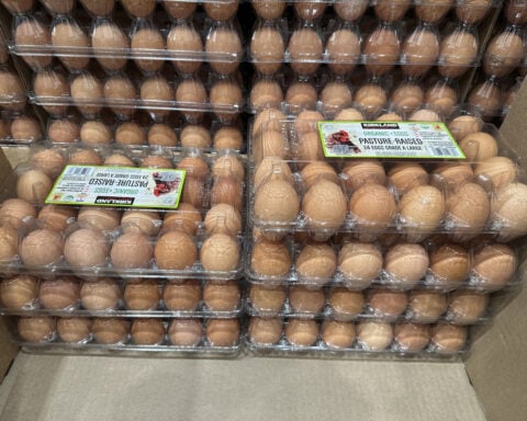 Egg prices could jump 41% this year, USDA says, as Trump's bird flu plan is unveiled