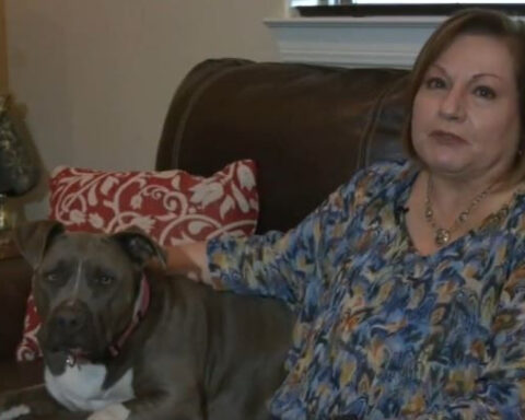 Woman reunited with missing dog after nearly 2 years apart