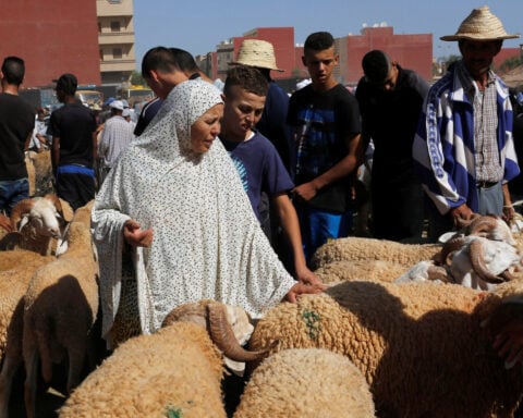 Drought-hit Morocco asks citizens not to slaughter sheep on Eid al-Adha