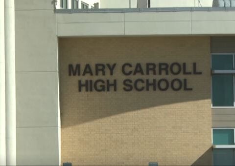 3 Carroll High School FFA animals killed in stray dog attack, 2 others injured