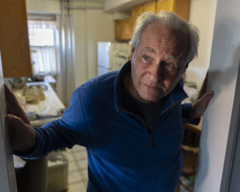 New stove that plugs into a normal wall outlet could be major gain for health and the climate