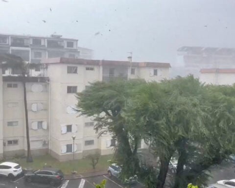 Three dead as cyclone Garance hits French island of La Reunion