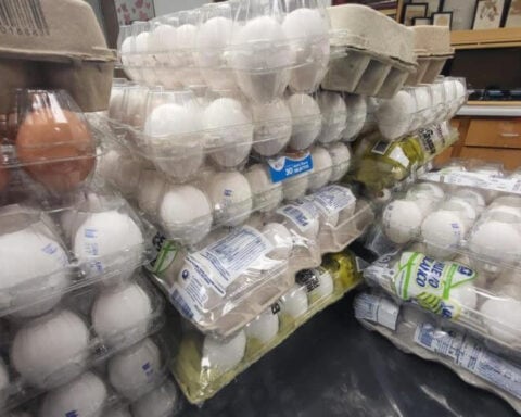 As egg prices soar, US Customs and Border Protection cracks down on egg smuggling