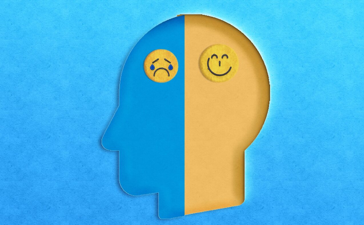 Study aims to redefine bipolar disorder wiring in the brain for better treatments
