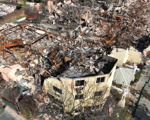 Newsom launches essential online support for L.A. fire survivors