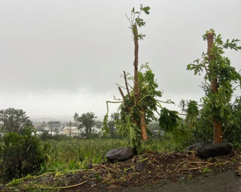 Four dead after cyclone Garance hits French island of La Reunion