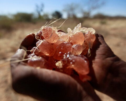 How a key ingredient in Coca-Cola, M&M's is smuggled from war-torn Sudan