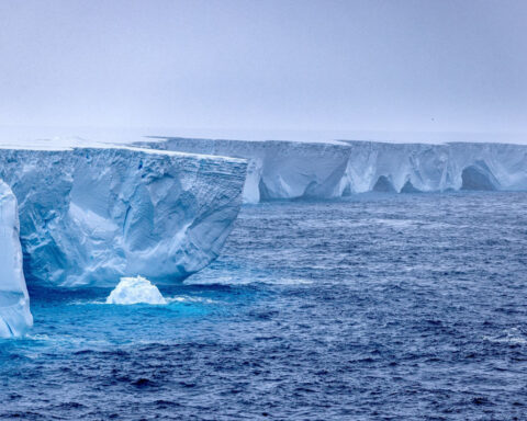 World’s biggest iceberg runs aground off South Georgia