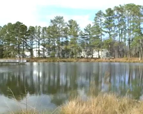 Two officers rescue 11-year-old girl from pond