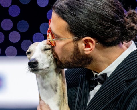Italian whippet called Miuccia is top pooch at world’s biggest dog show