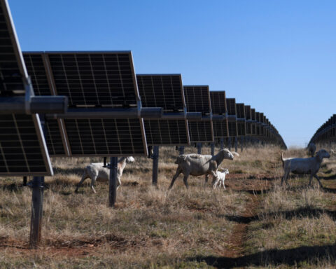 Solar and storage accounted for 84% of new US power added in 2024, report says