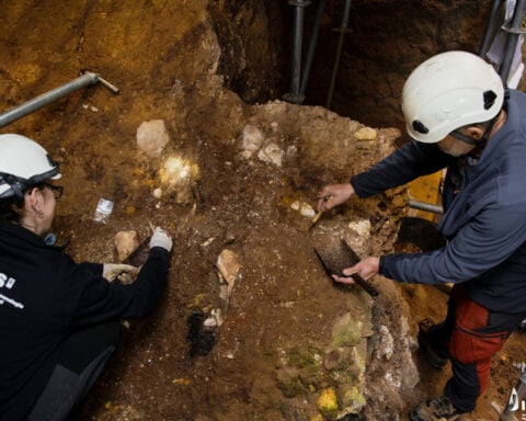 Archaeologists uncover the oldest known partial face fossil of a human ancestor in western Europe