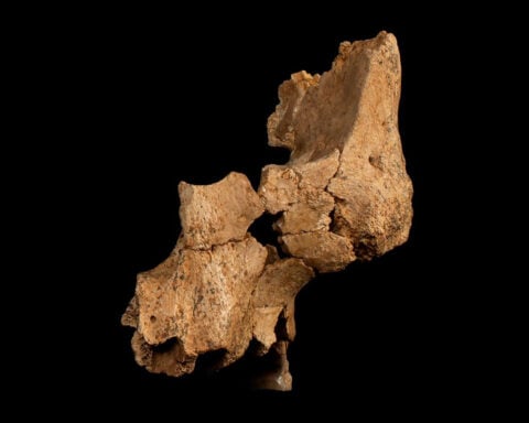 Cave discovery reveals previously unknown prehistoric human population in Europe