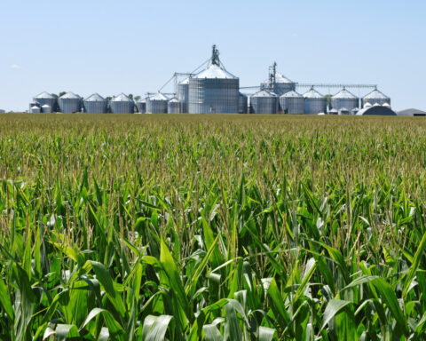 EU tariffs on US grains to hit livestock sector, industry group says