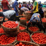 Nigeria inflation eases to 23.18% y/y in February, stats office says